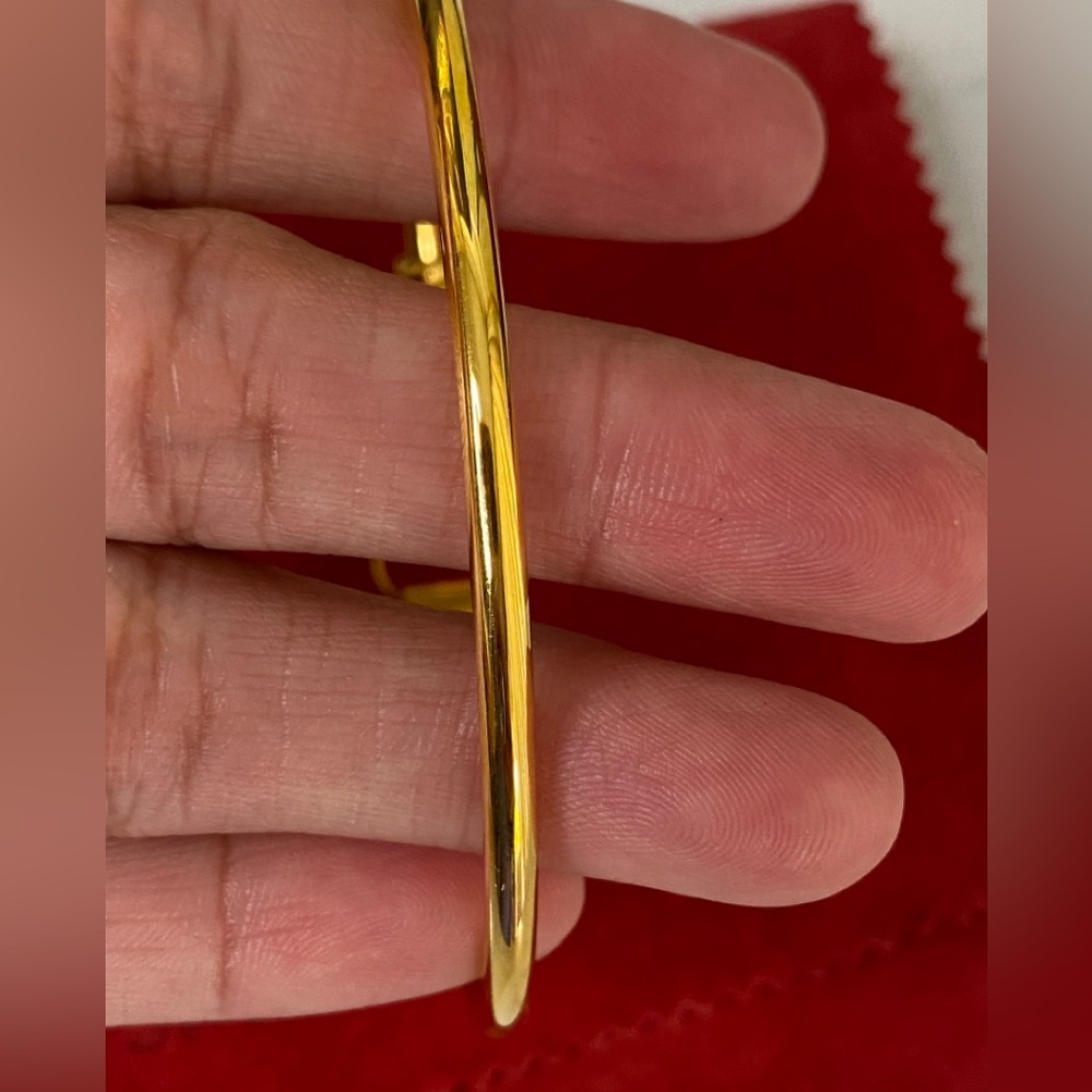 Authentic Feragamo Bangle Bracelet & Watch Case - image 7